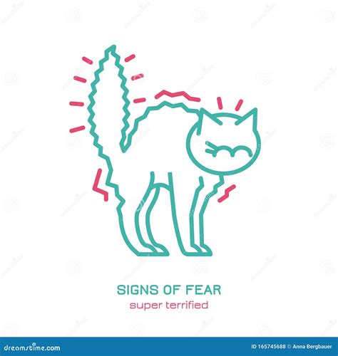 Finding Peace in the Face of Fear: The Fearful Feline Talisman Pendant